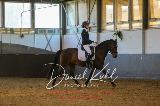 IMG_3390 | Turniersportfotografie; Pferdefotografie; Dressurfotografie