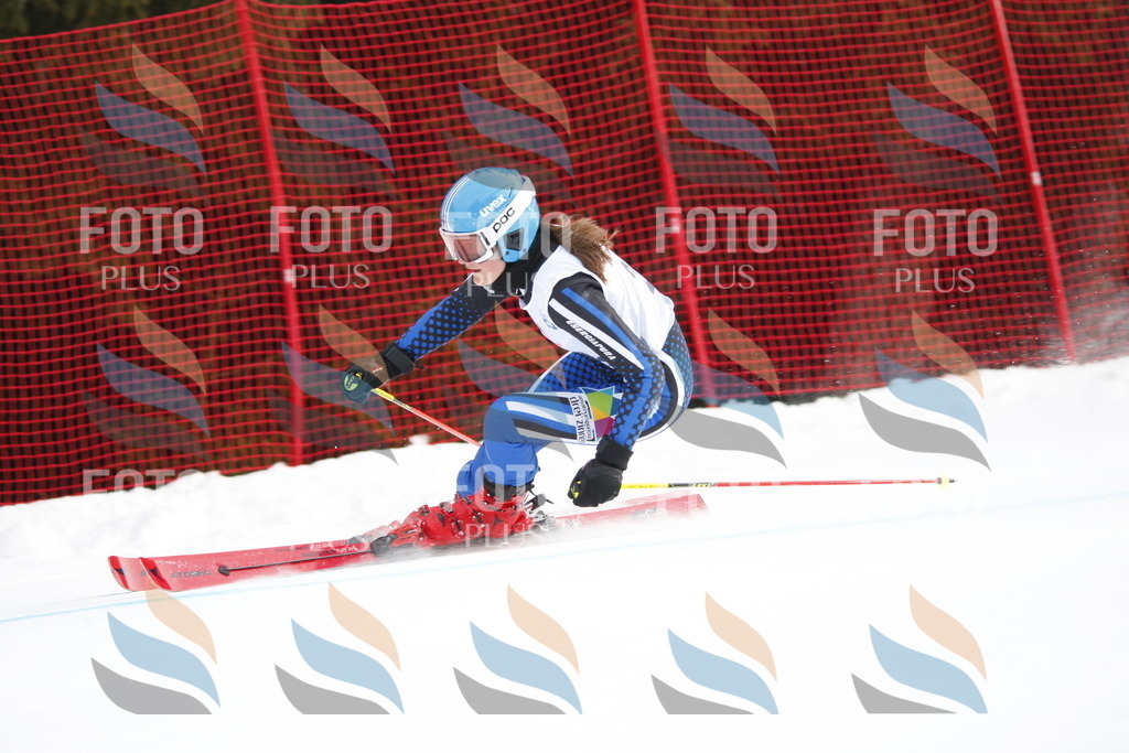 D4951 | holidayphoto