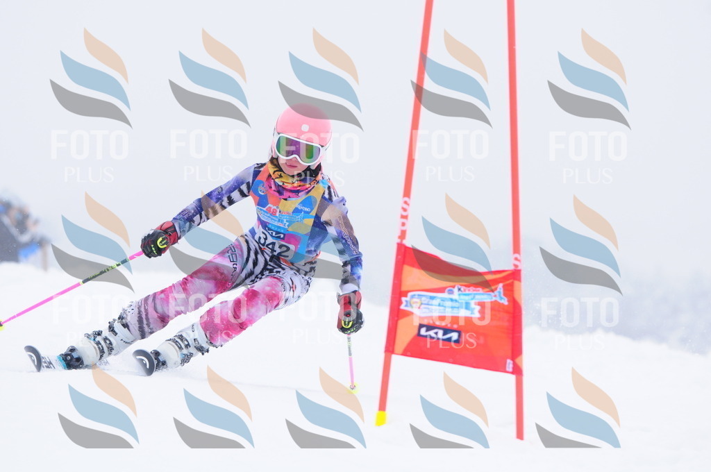 C3666 | holidayphoto