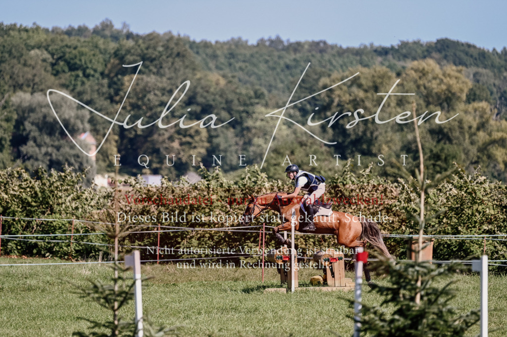 DSC_2070 | Pferde- und Turnierfotografie in Westsachsen. Pferdeportraits, Auftragszeichnungen und intuitive Kunst.