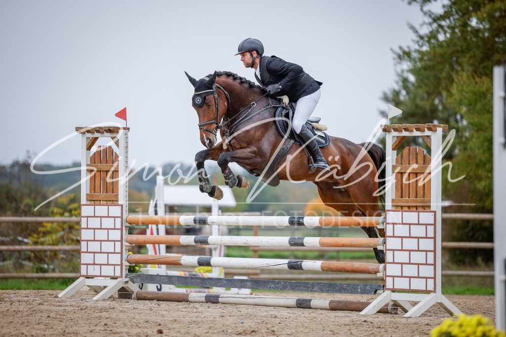 20251012-_3LI3700 | Tierfotografie Pferde, Hunde, Katzen, Haustiere.
Turnierfotografie Reitturniere, Reiten, Springreiten, Dressur in Hanau, dem Main-Kinzig-Kreis und dem Rhein-Main- Gebiet um Frankfurt