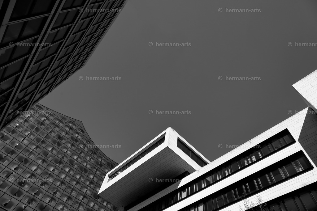 Hamurg_Arts-008 | Photo Foto Kunst Art schwarzweiss Bilder Rheine Münster Berlin Blumen 