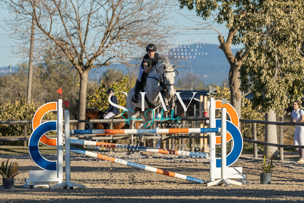 IMG_2371 | s-jay-photography - Realisiert mit Pictrs.com