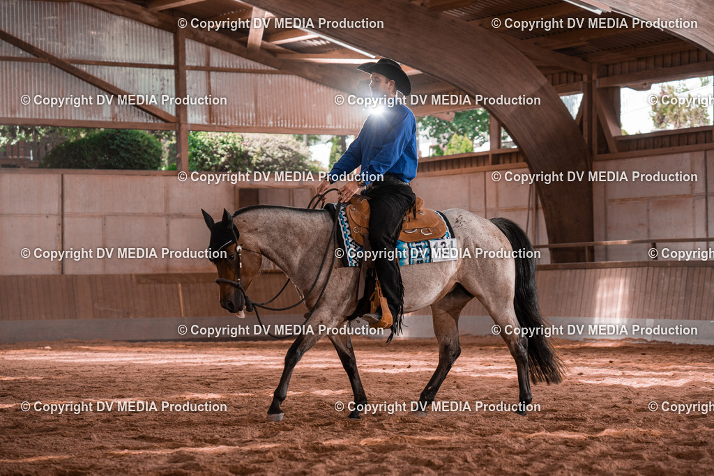 NE100447 | dv-media-shop - Realisiert mit Pictrs.com