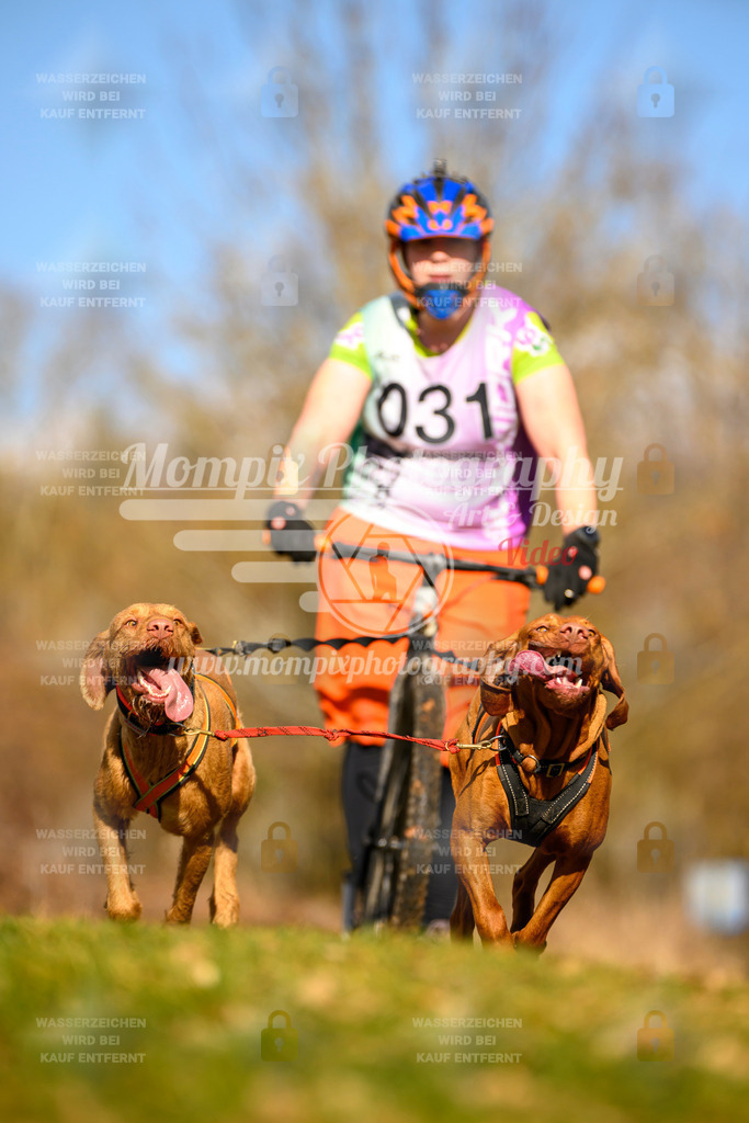MompixPhotography_10Schwabentrail2026_SO_Scooter-59 | PayLife