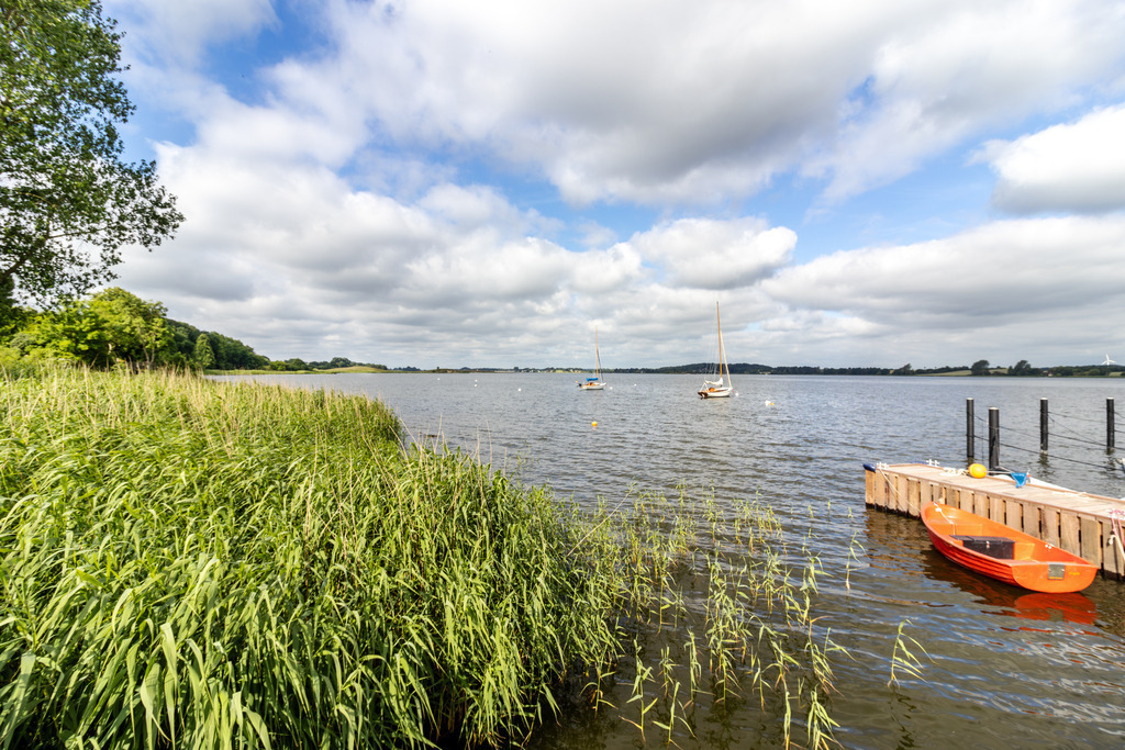 Wandbild: Sieseby an der Schlei im Sommer | Dieses Wandbild im Querformat zeigt die Schlei in Sieseby im Sommer vom Steg aus. Auf der linken Seite befindet sich hellgrüner Schilf. Auf der rechten Seite liegt ein Boot am neuen Anleger. Am blauen Himmel befinden sich zahlreiche sommerliche Wolken. - Realisiert mit Pictrs.com