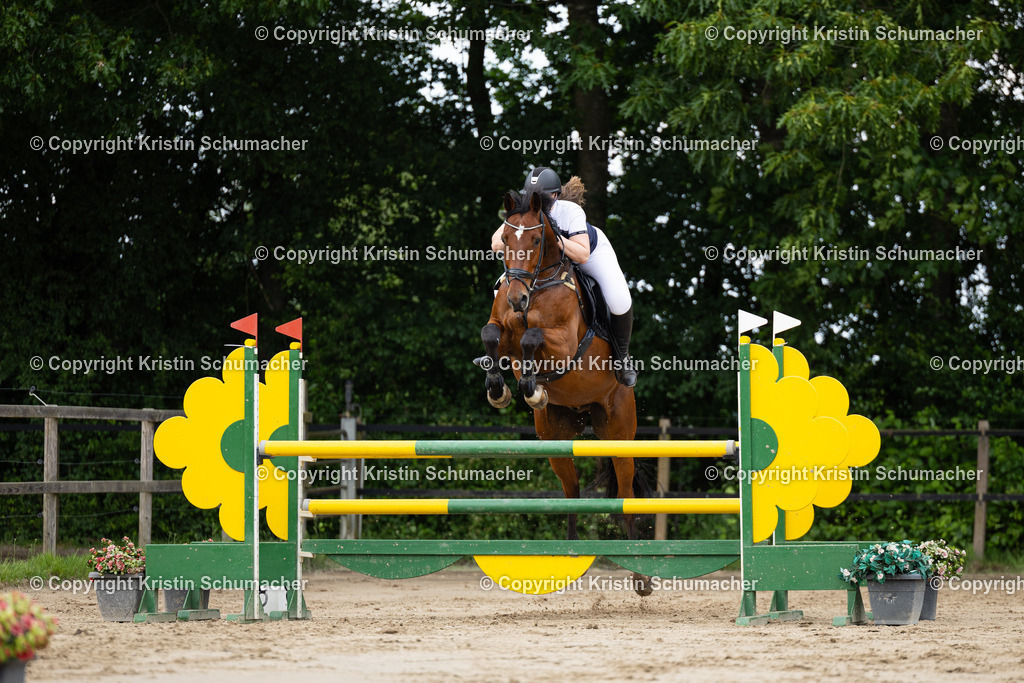 Prf. 26-39 | Kristin Schumacher Photography