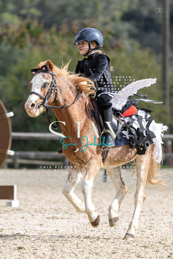 IMG_2154 | s-jay-photography - Realisiert mit Pictrs.com