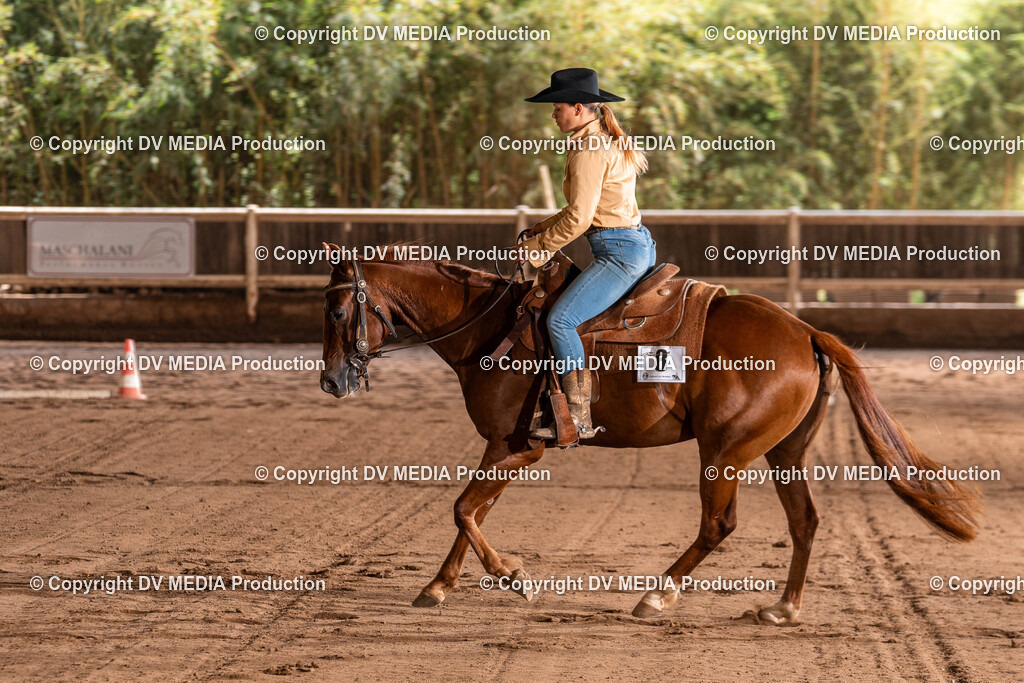 Erbach Tag 3-870 | dv-media-shop - Realisiert mit Pictrs.com