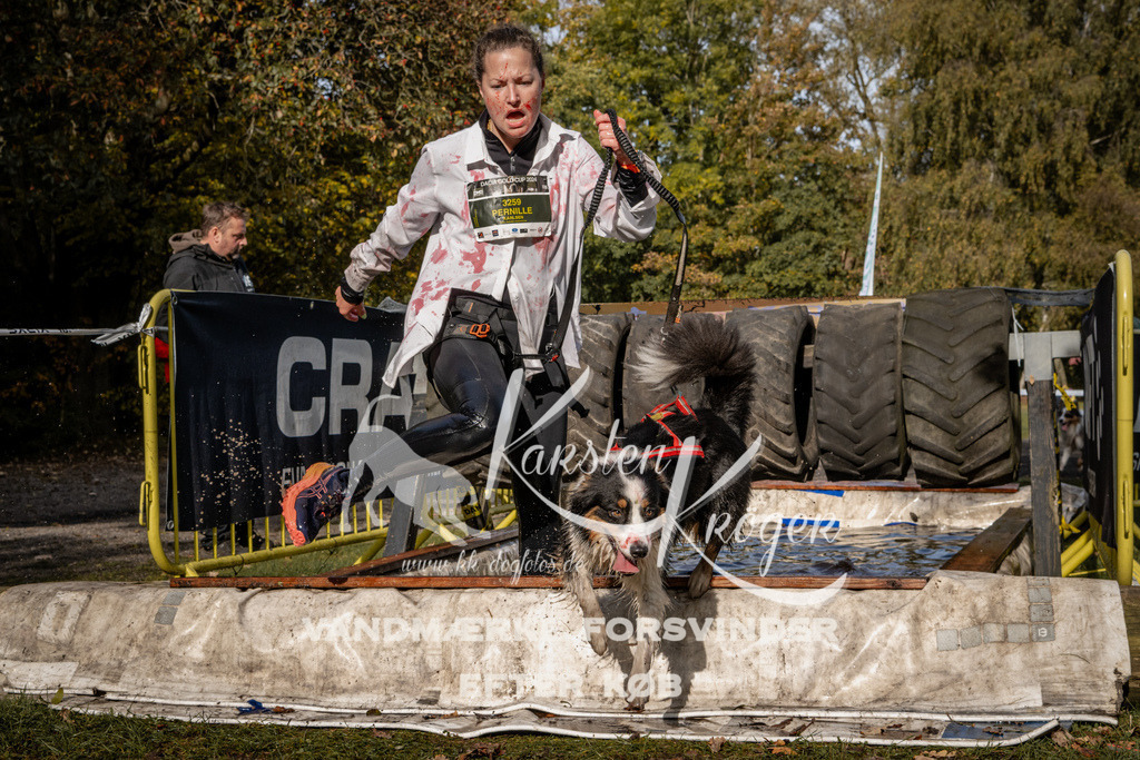 1342_ZZ92829 | kk-dogfotos