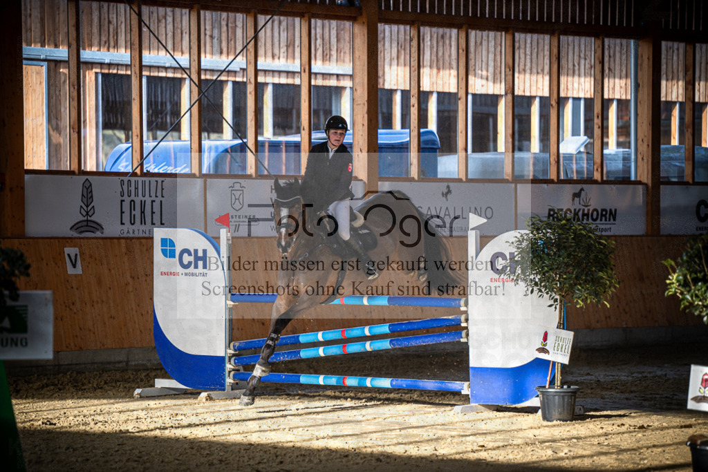 DOS_0910 | Entdecke hochwertige Reitturnierfotos von Foto Oger. Professionell, emotional und authentisch – jetzt Lieblingsmomente im Shop bestellen.Deutschlandweite Turnierfotografie. - Realisiert mit Pictrs.com