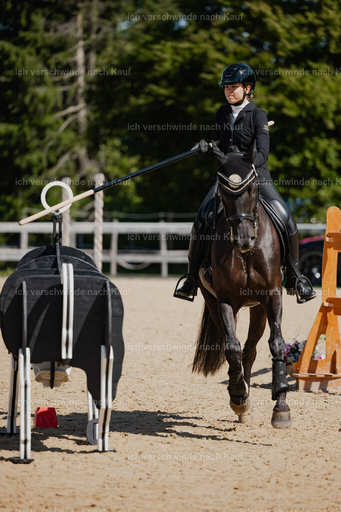 Leonie24_FHC2025-34 | working equitationturnier fotograf videograf stoibphotography marixx film working equitation deutschland reitsport turnierfotografie eventfotografie equestrian events