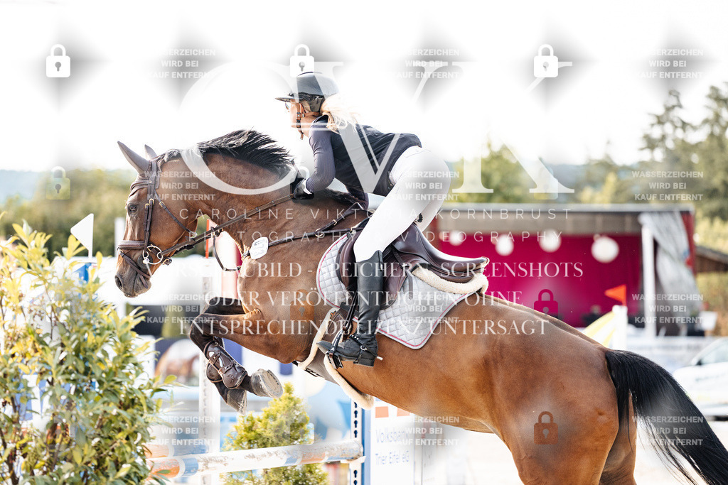 CK906769 | Turnierfotografie Pferdefotografie Trier Rheinland-Pfalz Pferdesport Reitsport Tierfotografie Sportfotografie Pferdevideo Pferdevideografie Equestrianvideography equestrianphotography  - Realisiert mit Pictrs.com