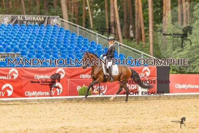 28-8-26 5j DRE-610 | mandyhollmannphotographie