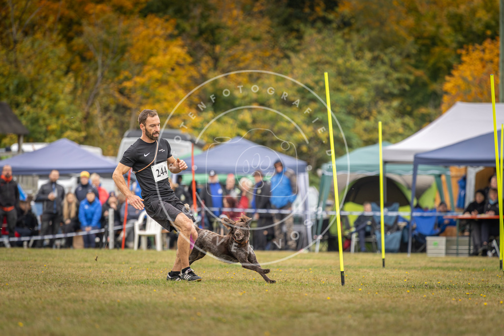 Pfotenfotografie_DV3A5546 | Hundefotografie, Tierfotograf, Pfotenfotografie, Fotoshooting Hund, Hunde Portrait, Hundesport, Hundeportraits, Heideshooting, Hunde, Sportfotograf, Hundefotograf, Turnierhundsport, THS,  - Realisiert mit Pictrs.com