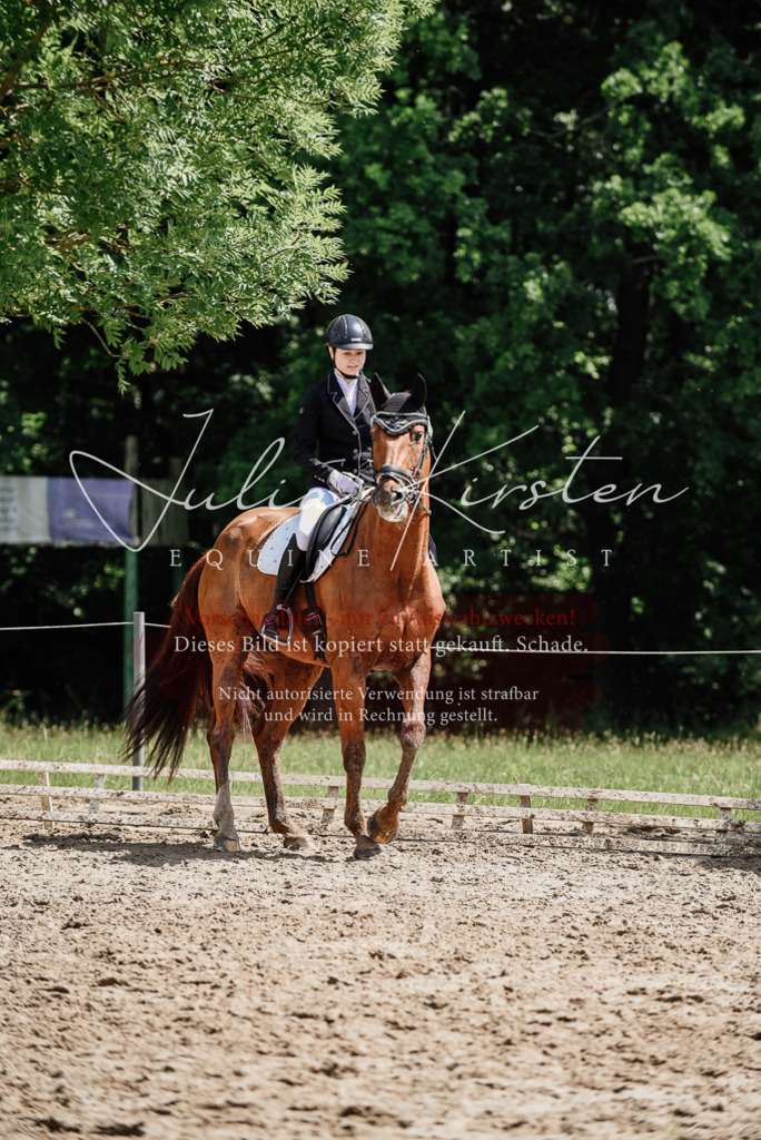 DSC_1350 | Pferde- und Turnierfotografie in Westsachsen. Pferdeportraits, Auftragszeichnungen und intuitive Kunst.
