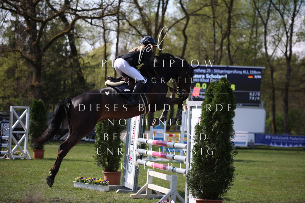 IMGT5863 | pl-fotografie