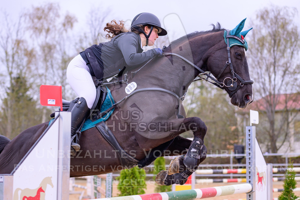12042026-Mammendorf-Prfg42-0399 | Fokus Hufschlag Fotografie - Realisiert mit Pictrs.com
