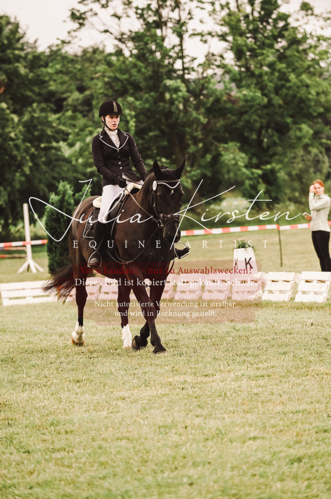 DSC_4962 | Pferde- und Turnierfotografie in Westsachsen. Pferdeportraits, Auftragszeichnungen und intuitive Kunst.