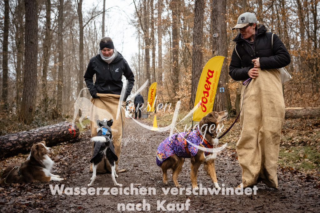 1153_ZZ92687 | kk-dogfotos