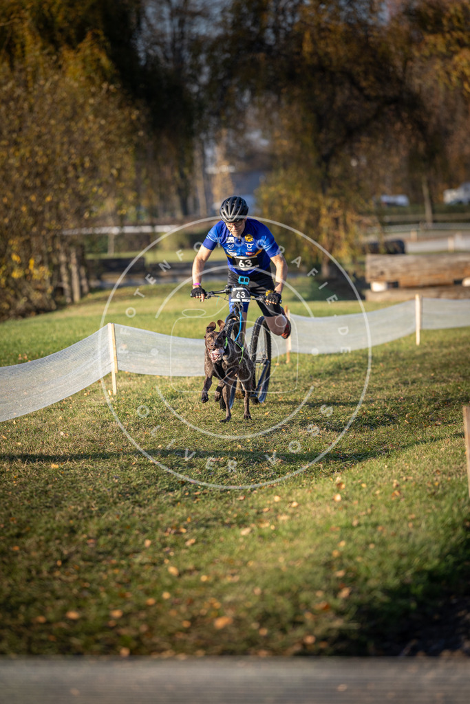 CaniXpix_DV3A0904 | Hundefotografie, Tierfotograf, Pfotenfotografie, Fotoshooting Hund, Hunde Portrait, Hundesport, Hundeportraits, Heideshooting, Hunde, Sportfotograf, Hundefotograf, Turnierhundsport, THS,  - Realisiert mit Pictrs.com