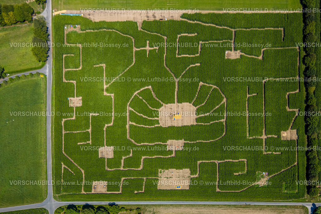 Bottrop250801713Kirchhellen | Luftbild, Irrgarten, Miermanns Maislabyrinth, Kirchhellen-Nord-West, Bottrop, Ruhrgebiet, Nordrhein-Westfalen, Deutschland