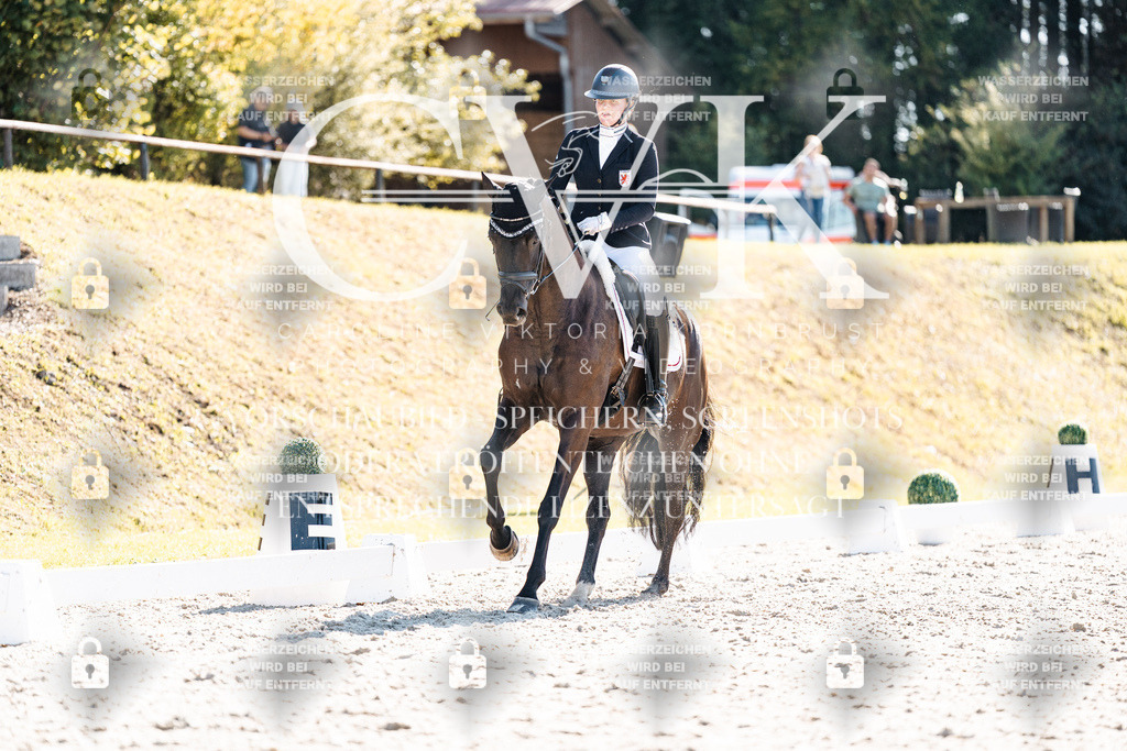 CK905620 | Turnierfotografie Pferdefotografie Trier Rheinland-Pfalz Pferdesport Reitsport Tierfotografie Sportfotografie Pferdevideo Pferdevideografie Equestrianvideography equestrianphotography  - Realisiert mit Pictrs.com
