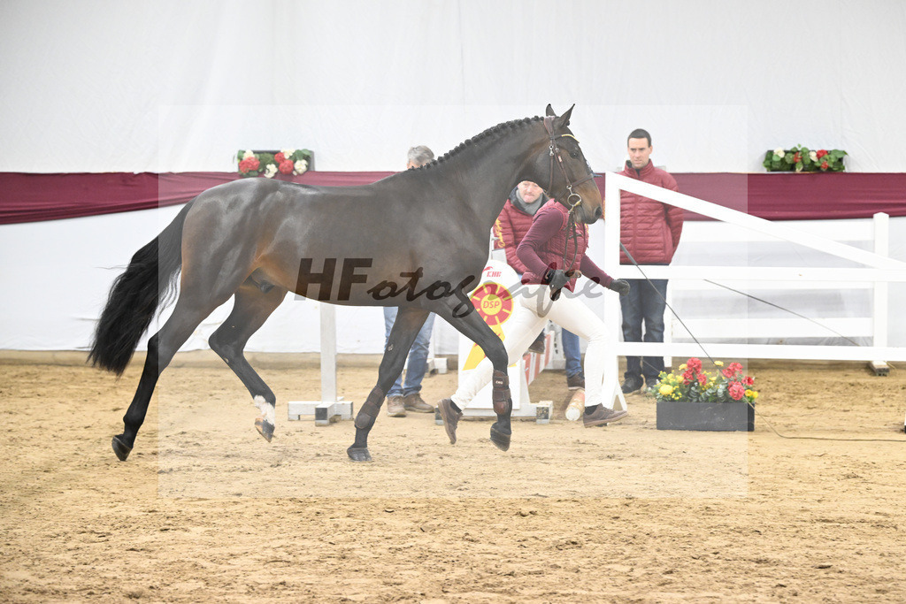 Kat-Nr. 103 Pifte van het Houtemhof x Indoctro_Anna-Sophie Kosch_47253290 | hf-fotografie - Realisiert mit Pictrs.com