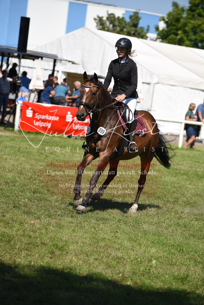 DSC_9544 | Pferde- und Turnierfotografie in Westsachsen. Pferdeportraits, Auftragszeichnungen und intuitive Kunst.
