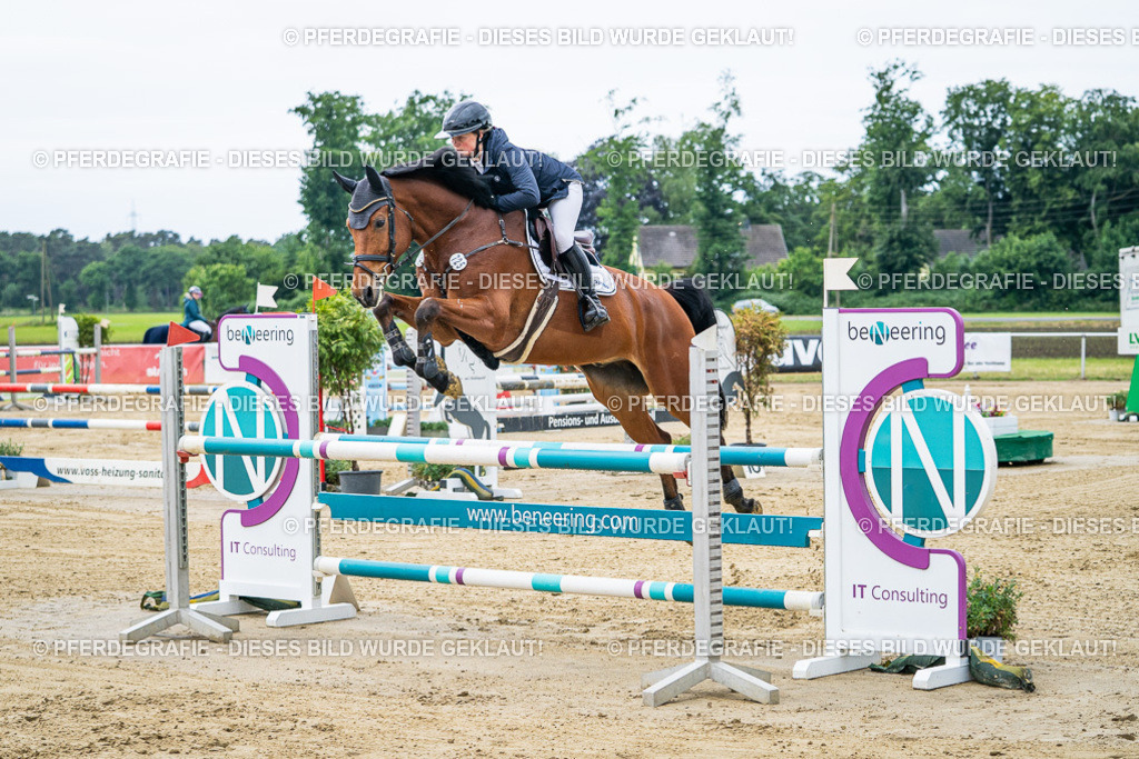 DSC04566 | Pferdegrafie