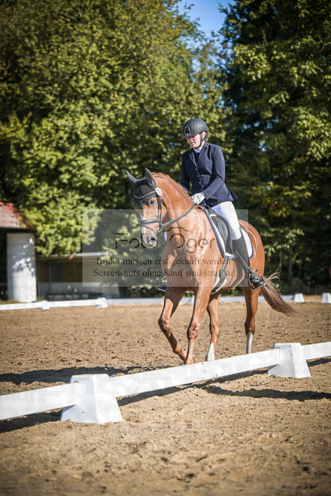 DOS_1850 | Entdecke hochwertige Reitturnierfotos von Foto Oger. Professionell, emotional und authentisch – jetzt Lieblingsmomente im Shop bestellen.Deutschlandweite Turnierfotografie. - Realisiert mit Pictrs.com