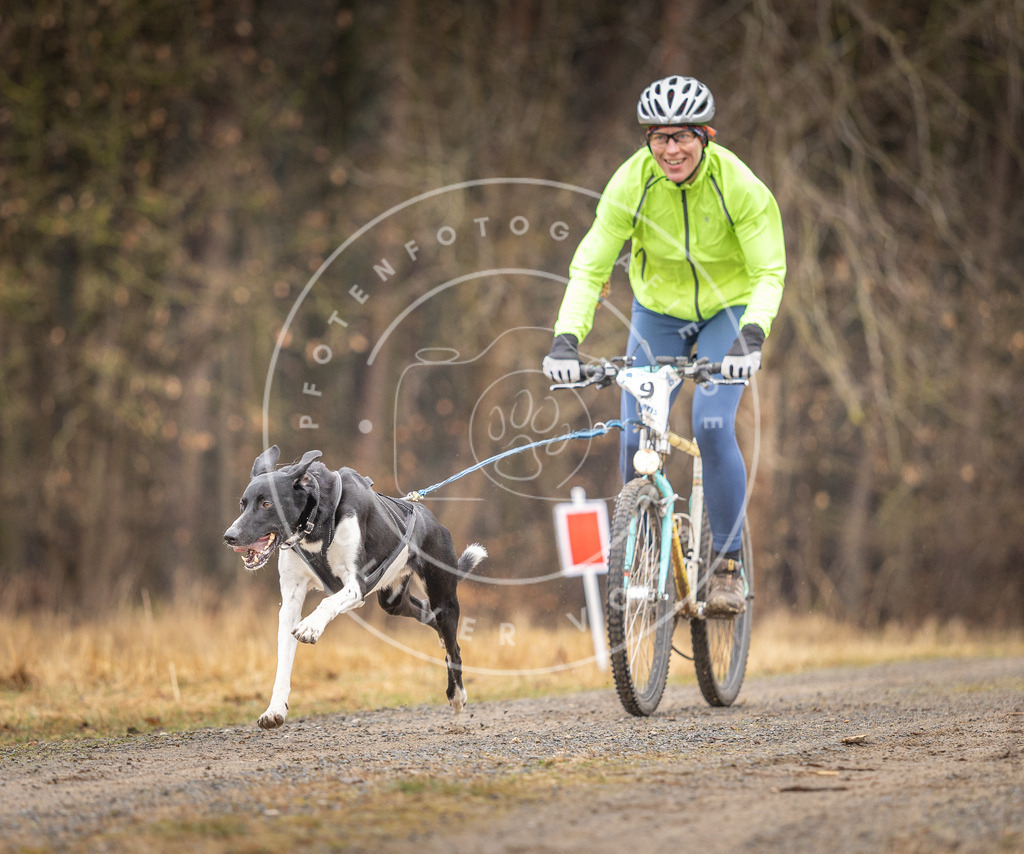 DV3A3204 | Hundefotografie, Tierfotograf, Pfotenfotografie, Fotoshooting Hund, Hunde Portrait, Hundesport, Hundeportraits, Heideshooting, Hunde, Sportfotograf, Hundefotograf, Turnierhundsport, THS,  - Realisiert mit Pictrs.com