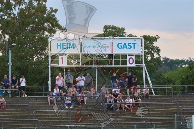 BFC Dynamo vs. VfB Lübeck 1919 084 | mythos-online-redaktion