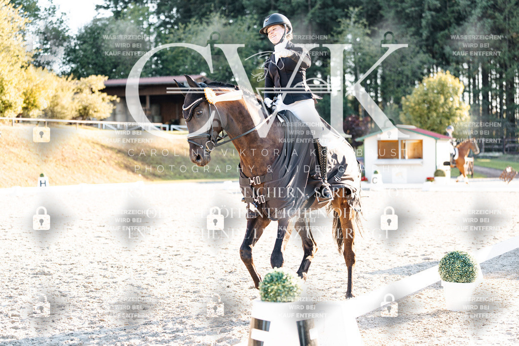 CK907278 | Turnierfotografie Pferdefotografie Trier Rheinland-Pfalz Pferdesport Reitsport Tierfotografie Sportfotografie Pferdevideo Pferdevideografie Equestrianvideography equestrianphotography  - Realisiert mit Pictrs.com