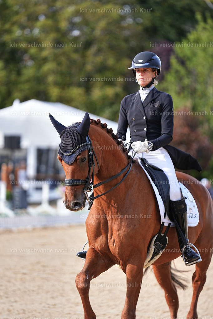 13-220-S___ -Marixx-7046 | working equitationturnier fotograf videograf stoibphotography marixx film working equitation deutschland reitsport turnierfotografie eventfotografie equestrian events