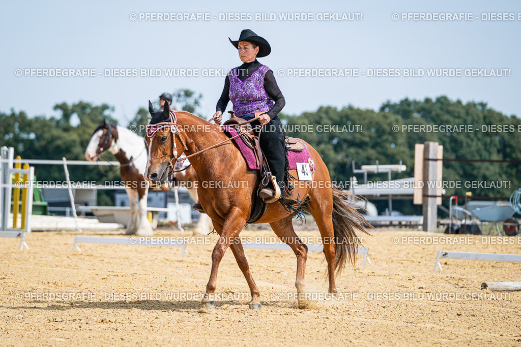 DSC00269 | Pferdegrafie