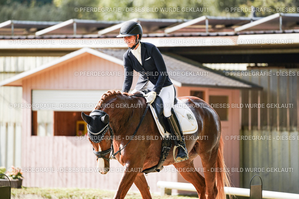 DSC07688 | Pferdegrafie