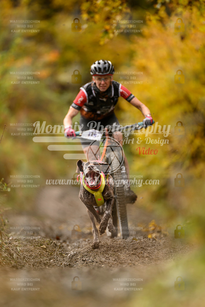 MompixPhotography_ICF_WC_2024_SA_Bike_-85 | PayLife