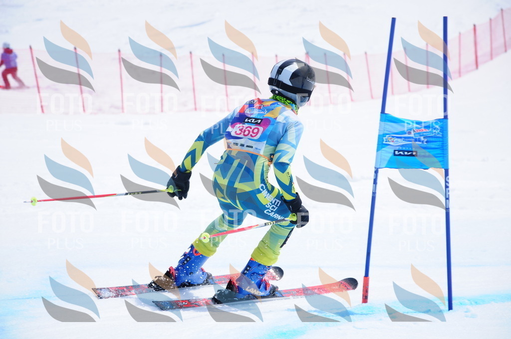 DSC_7309 | holidayphoto