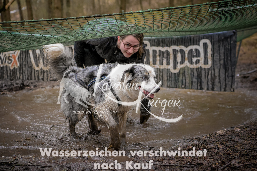 0915_ZZ96964 | kk-dogfotos