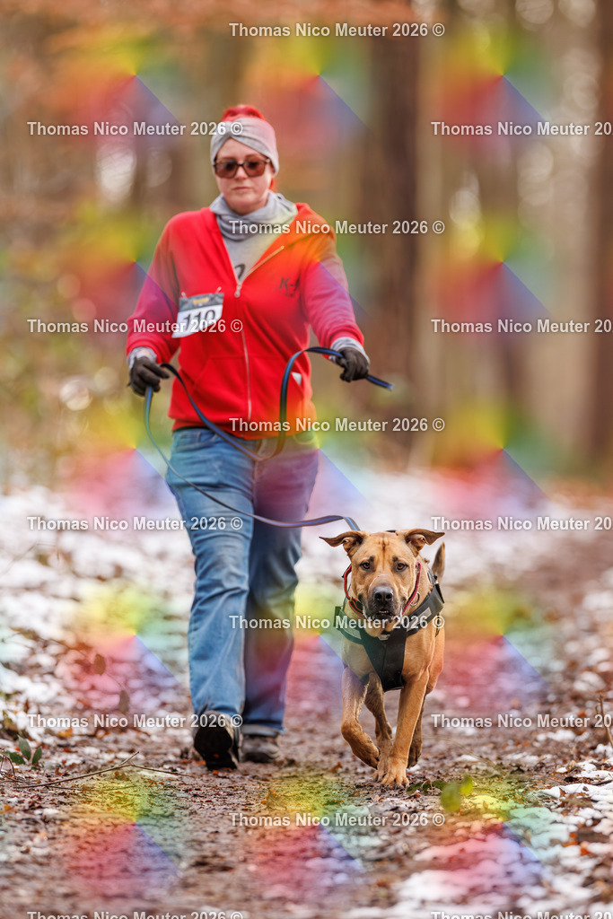 Thomas_Nico_Meuter(C)_223A9503 | Bild von Thomas Nico Meuter - Realisiert mit Pictrs.com