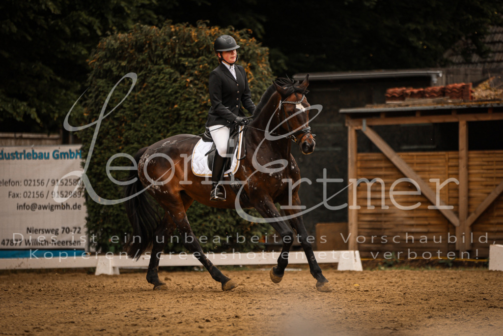 DoDrE00254 | Leoni Ertmer Photography - Realisiert mit Pictrs.com