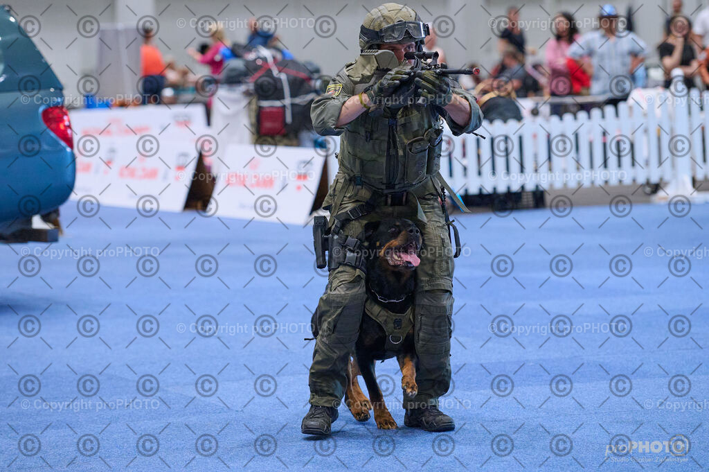 202406_ÖKV-IHA-Tulln24_DSC_3576 | proPHOTO - Realisiert mit Pictrs.com