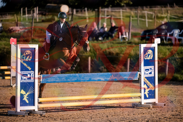 2026_10_03_Siefer-Hof_170922_Z81_06277766 | Professionelle Reitsport-, Turnier- und Eventfotografie von Robert Broda. Galerien mit ausgewählten und bearbeiteten Bildern direkt online ansehen und bestellen.