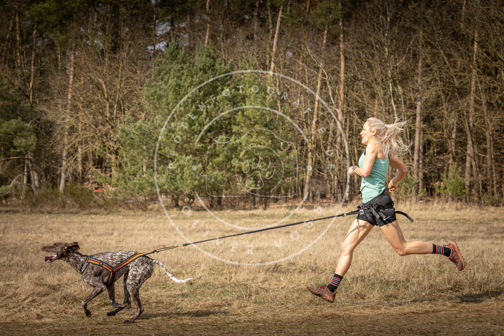 DV3A5616 | Hundefotografie, Tierfotograf, Pfotenfotografie, Fotoshooting Hund, Hunde Portrait, Hundesport, Hundeportraits, Heideshooting, Hunde, Sportfotograf, Hundefotograf, Turnierhundsport, THS,  - Realisiert mit Pictrs.com