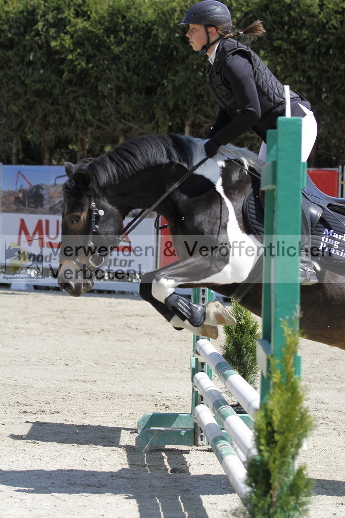 _MG_0249 | equestrian-live-com