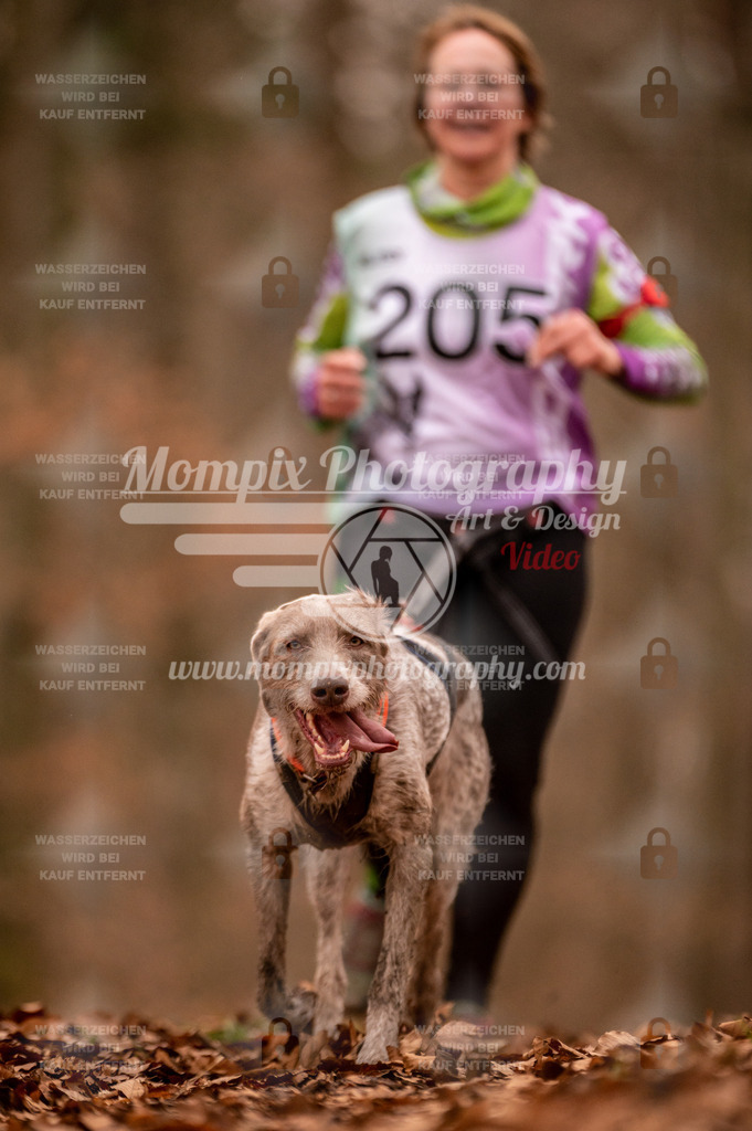 AKM_ST_2023_Son_Run-6 | PayLife