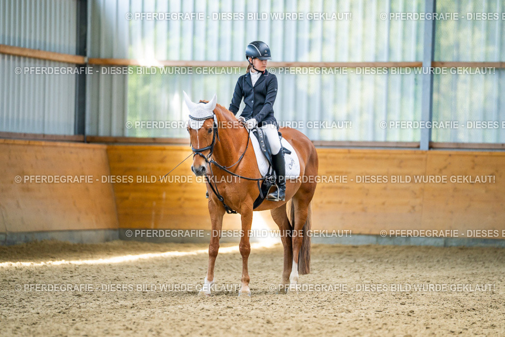 DSC03059 | Pferdegrafie