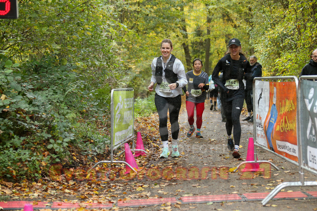 251026_1351_EX1_4002 | Sportfotografie im Rhein-Sieg Kreis, Köln, Bonn, NRW, Rheinland Pfalz, Hessen, etc. Unser Tätigkeitsfeld umfasst den Laufsport vom Volkslauf über den Marathon, Duathlon, Triathon bis zum Ultralauf wie Kölnpfad Ultra oder Schindertrail.