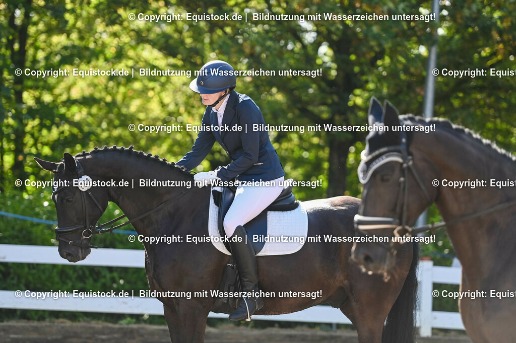 20230716_04_Dressurreiterprüfung Kl.A_0040 | equistock
